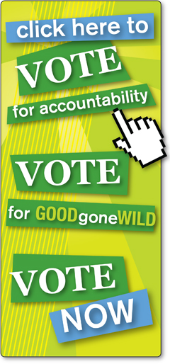 vote_here.jpg