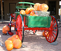 02_cart.jpg