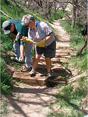 02_trailwork.jpg