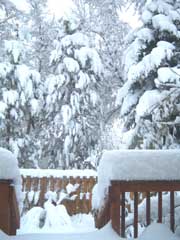 snowstorm.jpg
