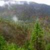 Roadless USFS