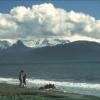 alaskaShore_fws.jpg