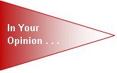 In Your Opinion.JPG
