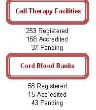 Spring 2008 Accreditation Summary.JPG