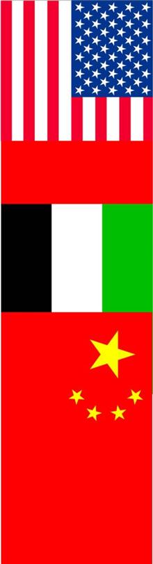 Flags (Custom).jpg