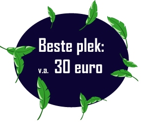 beste-plek.jpg