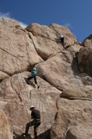 J-Tree Climbing.JPG
