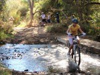 Mountain Biker.JPG