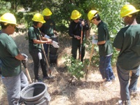 Forest Service.JPG