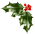 Hollyur.gif