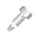 Ferrule.jpg