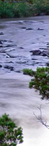 river 1.jpg
