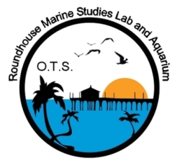 New logo 2008.JPG