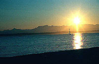 golden_gardens.jpg