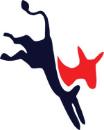 A2DP-Donkey-Web2.jpg