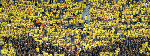 SeaOfYellow.jpg