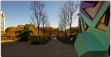img_banner.jpg