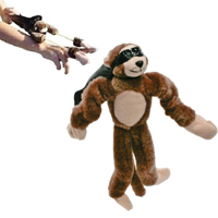313901.jpg