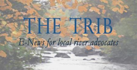 Da Trib_Small.jpg
