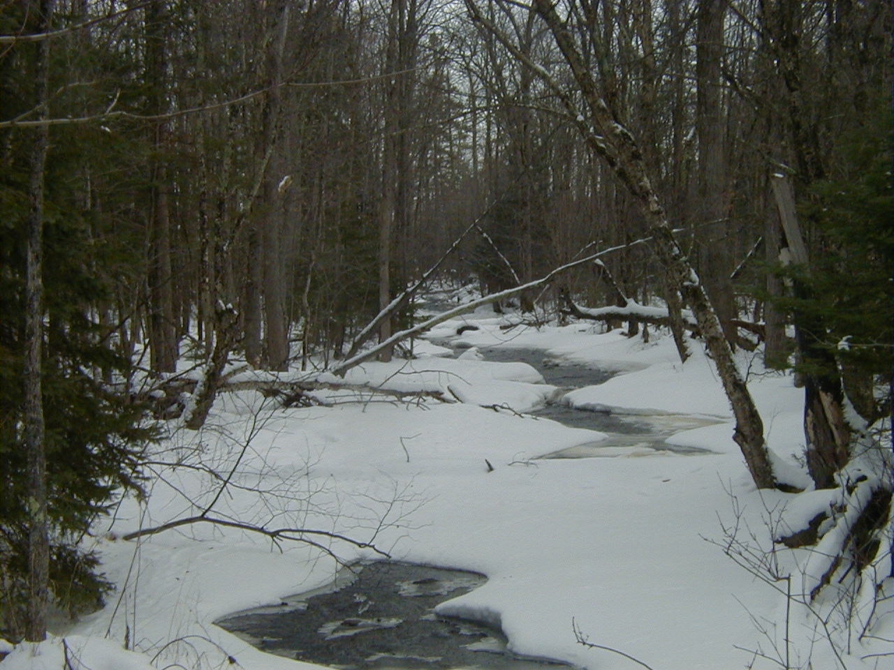 River picture.JPG