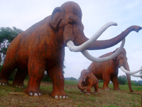 mammoths.jpg