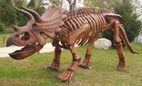 skeleton.jpg
